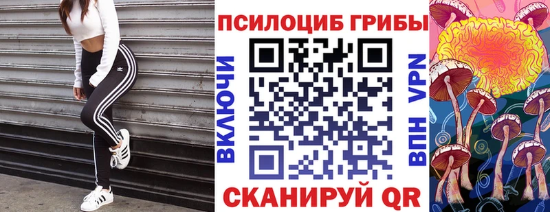 гидра зеркало  Видное  Псилоцибиновые грибы Psilocybe  купить наркотик 