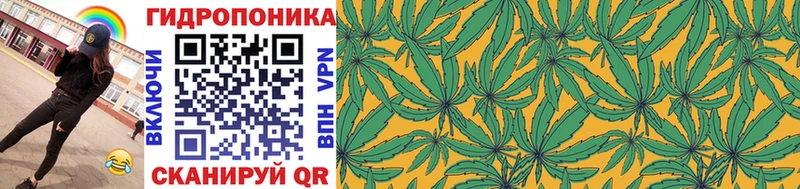Шишки марихуана тримм  hydra зеркало  Видное 